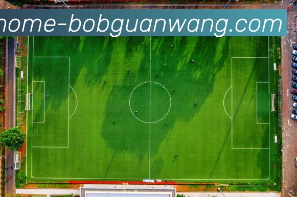 bob官网APP 封面图